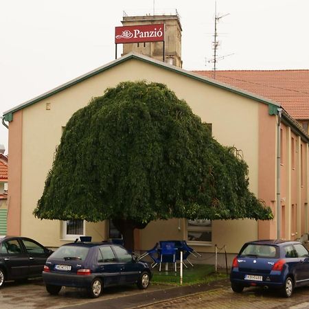 Malomudvar Etterem Cukraszda Panzio Es Rendezvenyhaz Gyongyos Ngoại thất bức ảnh